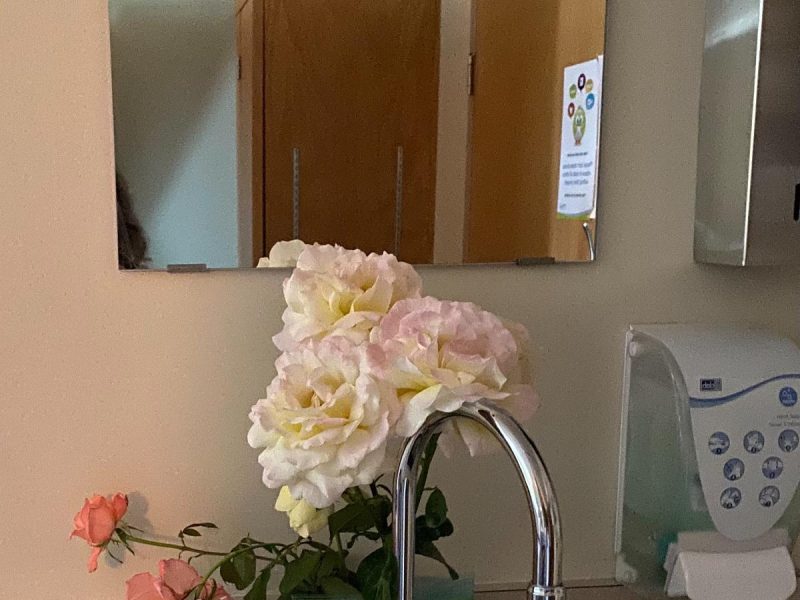 Last garden flowers brought to an LGH LDR Aug 2021